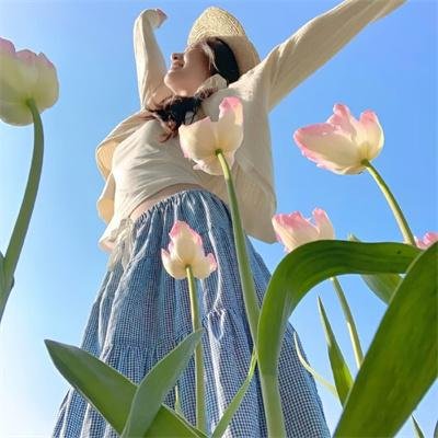 岗上花开